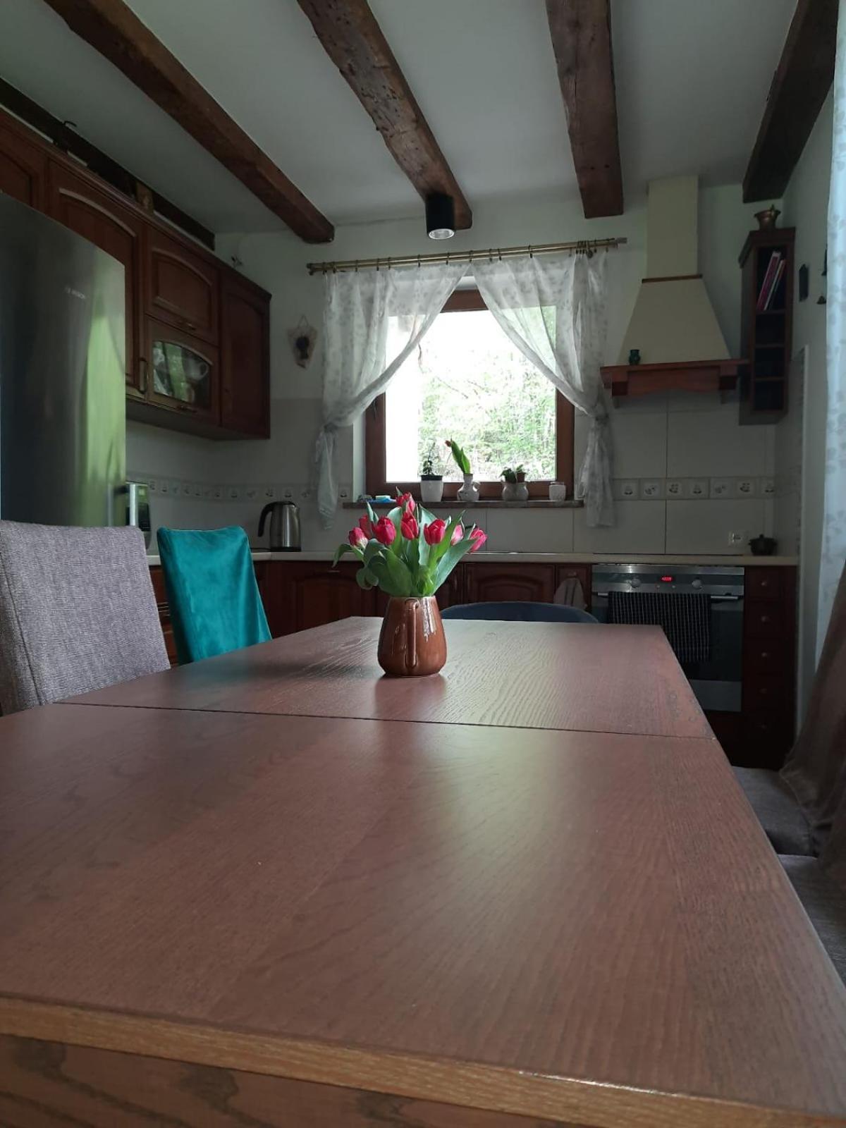 Majcia Villa Jelenia Gora Bagian luar foto